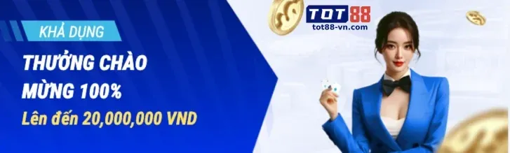 Hỗ trợ kỹ thuật SV689